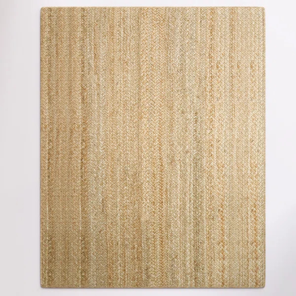 Kayleigh Hand Braided Area Rug | Wayfair North America