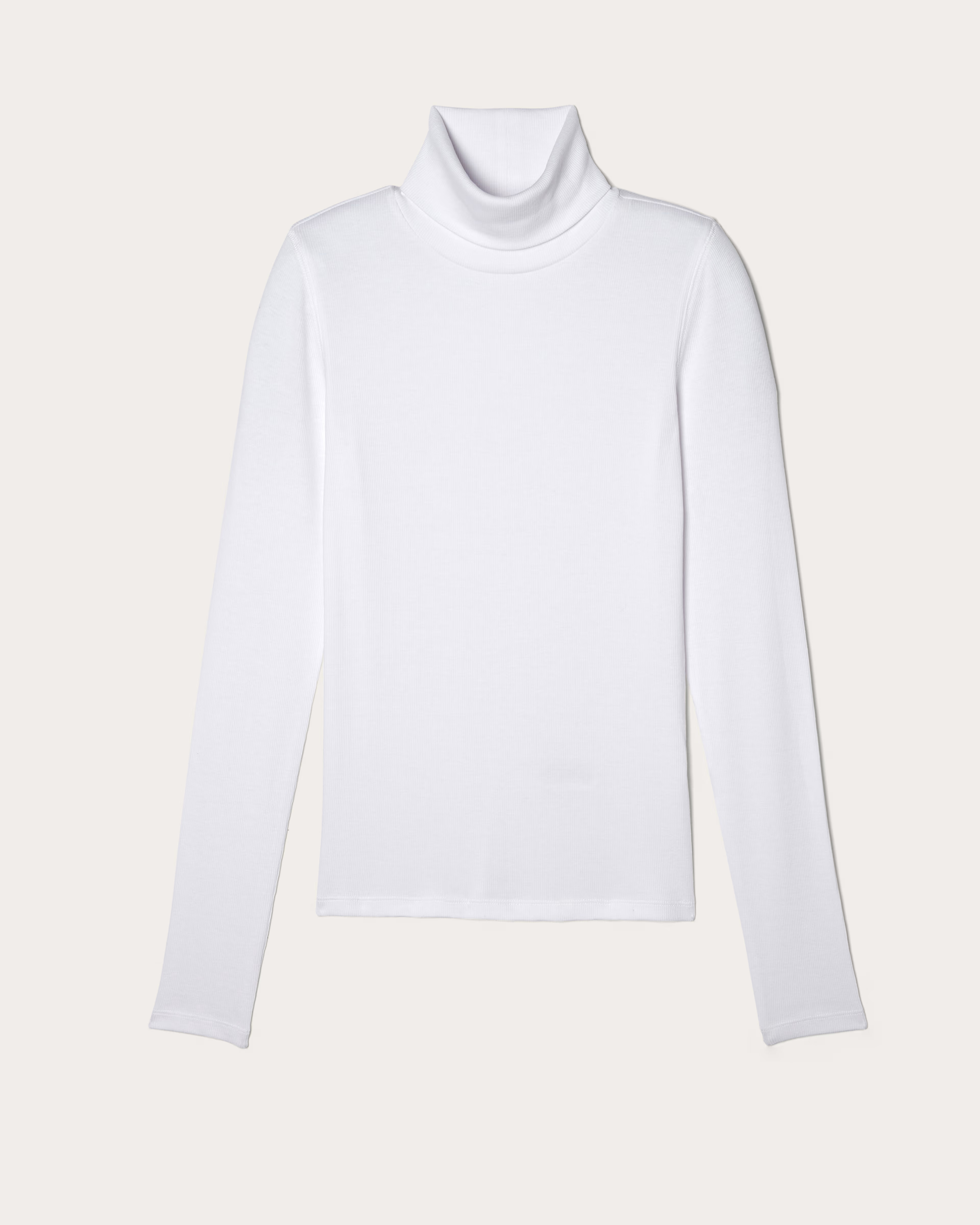 The Luxe Rib Turtleneck | Everlane