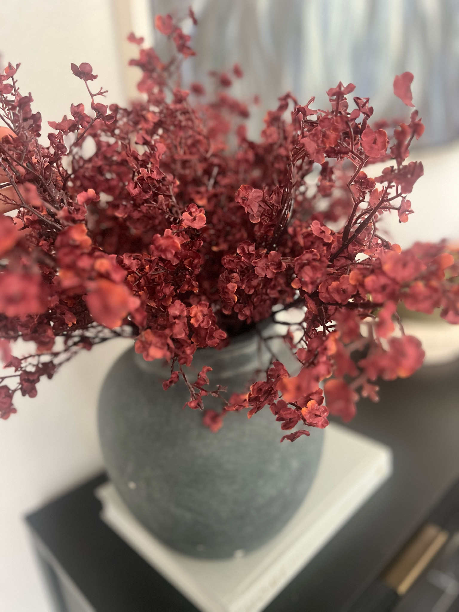 Fall stems 

Rug, Home, Console, Amazon Home, Amazon Find, Look for Less, Living Room, Bedroom, Dining, Kitchen, Modern, Restoration Hardware, Arhaus, Pottery Barn, Target, Style, Home Decor, Summer, Fall, New Arrivals, CB2, Anthropologie, Urban Outfitters, Inspo, Inspired, West Elm, Console, Coffee Table, Chair, Pendant, Light, Light fixture, Chandelier, Outdoor, Patio, Porch, Designer, Lookalike, Art, Rattan, Cane, Woven, Mirror, Luxury, Faux Plant, Tree, Frame, Nightstand, Throw, Shelving, Cabinet, End, Ottoman, Table, Moss, Bowl, Candle, Curtains, Drapes, Window, King, Queen, Dining Table, Barstools, Counter Stools, Charcuterie Board, Serving, Rustic, Bedding, Hosting, Vanity, Powder Bath, Lamp, Set, Bench, Ottoman, Faucet, Sofa, Sectional, Crate and Barrel, Neutral, Monochrome, Abstract, Print, Marble, Burl, Oak, Brass, Linen, Upholstered, Slipcover, Olive, Sale, Fluted, Velvet, Credenza, Sideboard, Buffet, Budget Friendly, Affordable, Texture, Vase, Boucle, Stool, Office, Canopy, Frame, Minimalist, MCM, Bedding, Duvet, Looks for Less

#LTKSeasonal #LTKFindsUnder50 #LTKHome