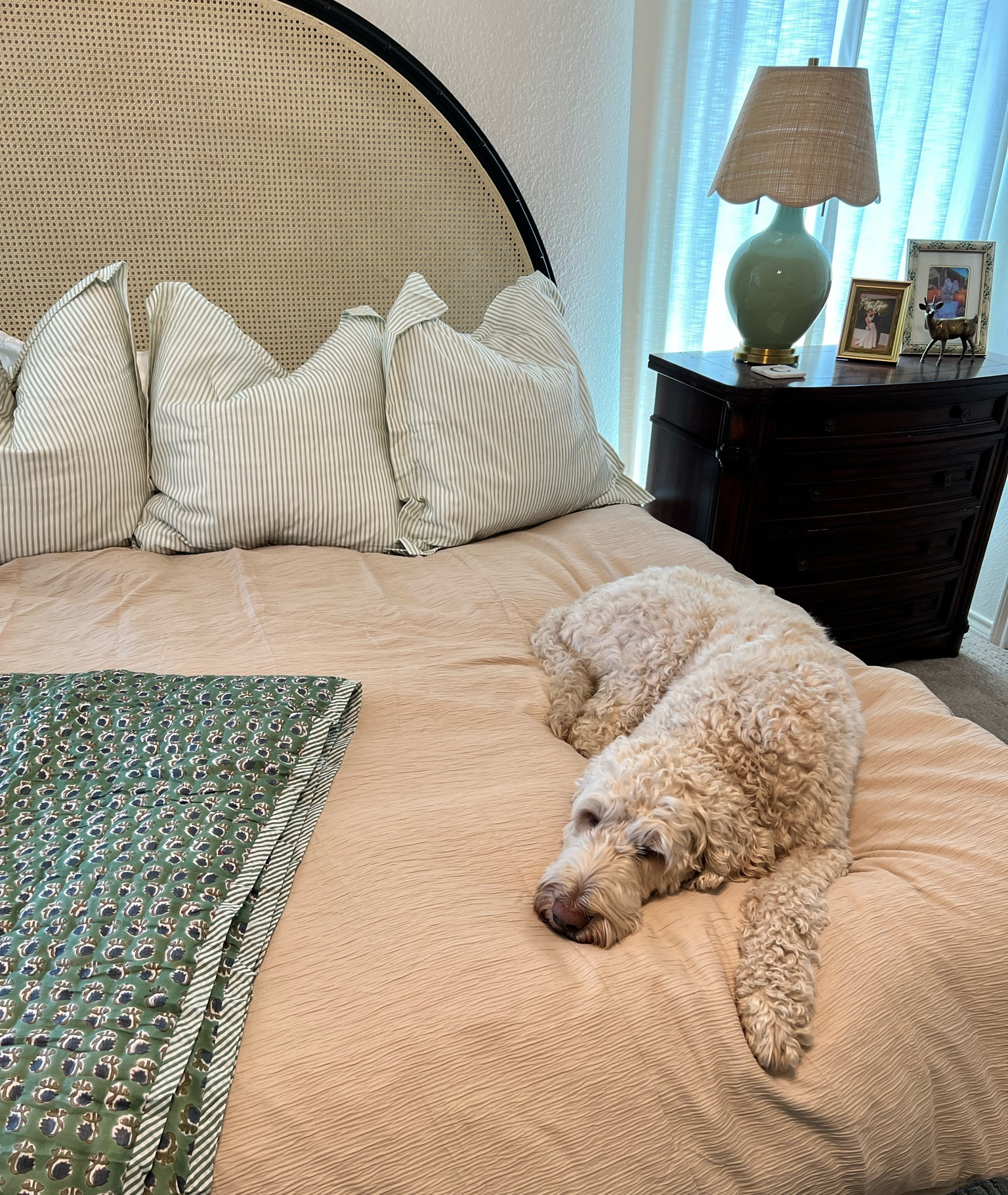 Green with envy! 💚 

#LTKSeasonal #LTKfindsunder50 #LTKhome