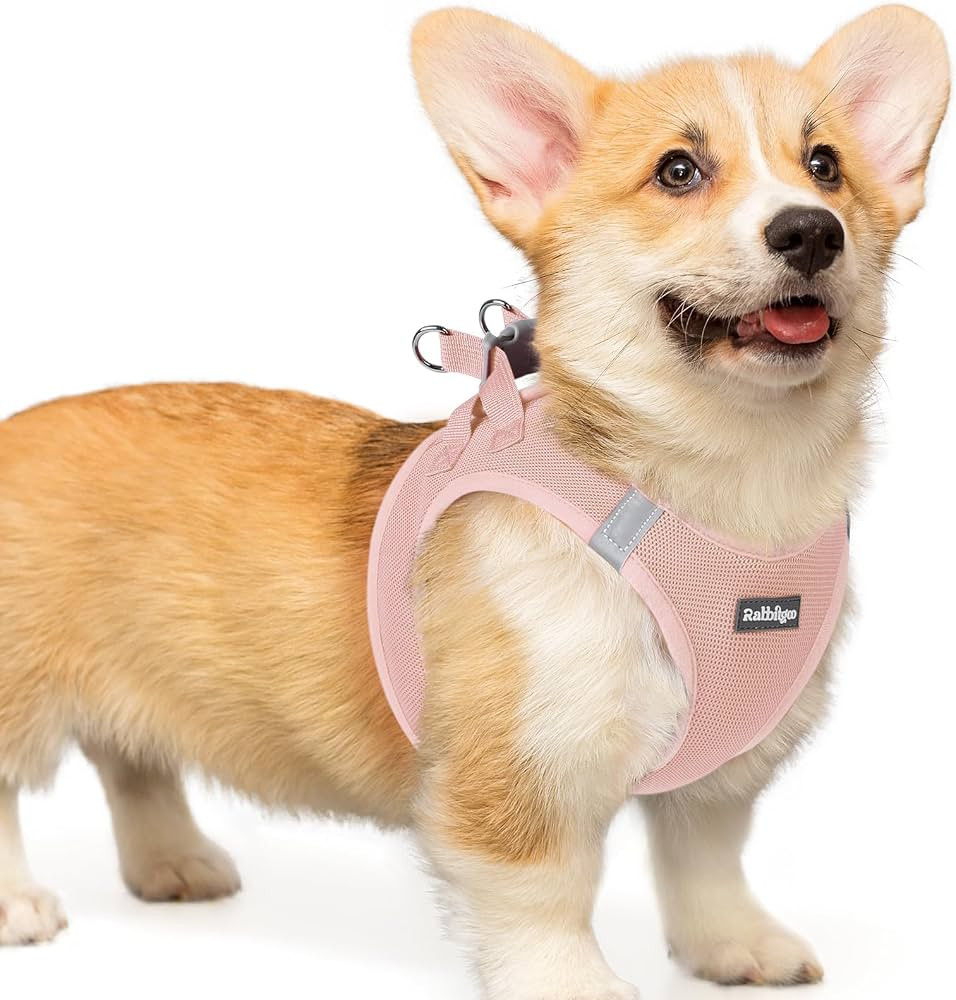 rabbitgoo Small Dog Harness, Step-in Easy On Soft Light Puppy Vest with Breathable Mesh for Walki... | Amazon (US)
