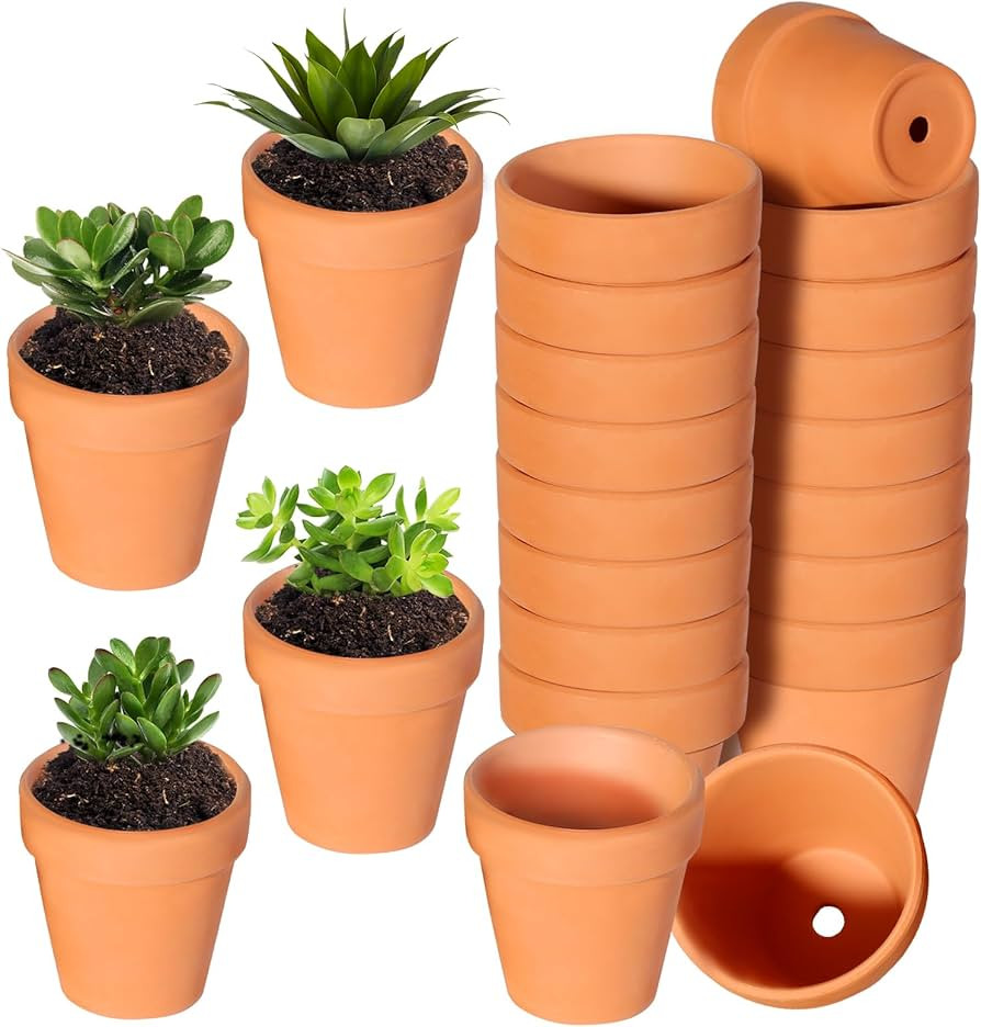 22Pcs 3 Inch Terracotta Pots, Clay Flower Pots Cactus DIY Flower Pots with Drainage Hole,Great fo... | Amazon (US)