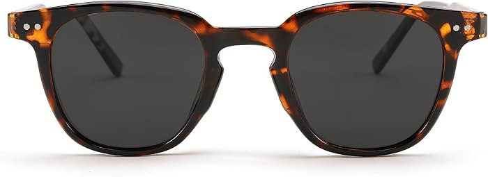 FEISEDY Classic Polarized Sunglasses Retro Round Sunglasses for Women Men Trendy Shades B0002 | Amazon (US)