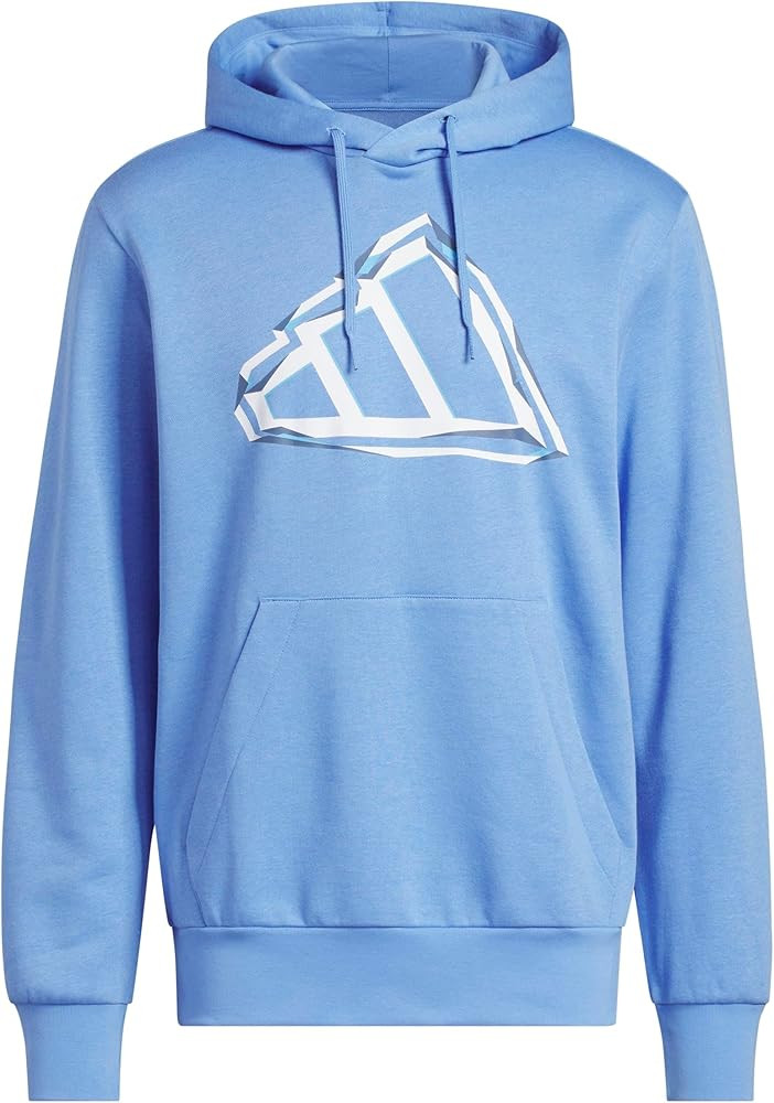 adidas mens Big Logo Graphic Hoodie | Amazon (US)
