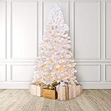 MARTHA STEWART Flocked Pine Pre-Lit Artificial Christmas Tree, 9 Feet, Clear White Lights | Amazon (US)