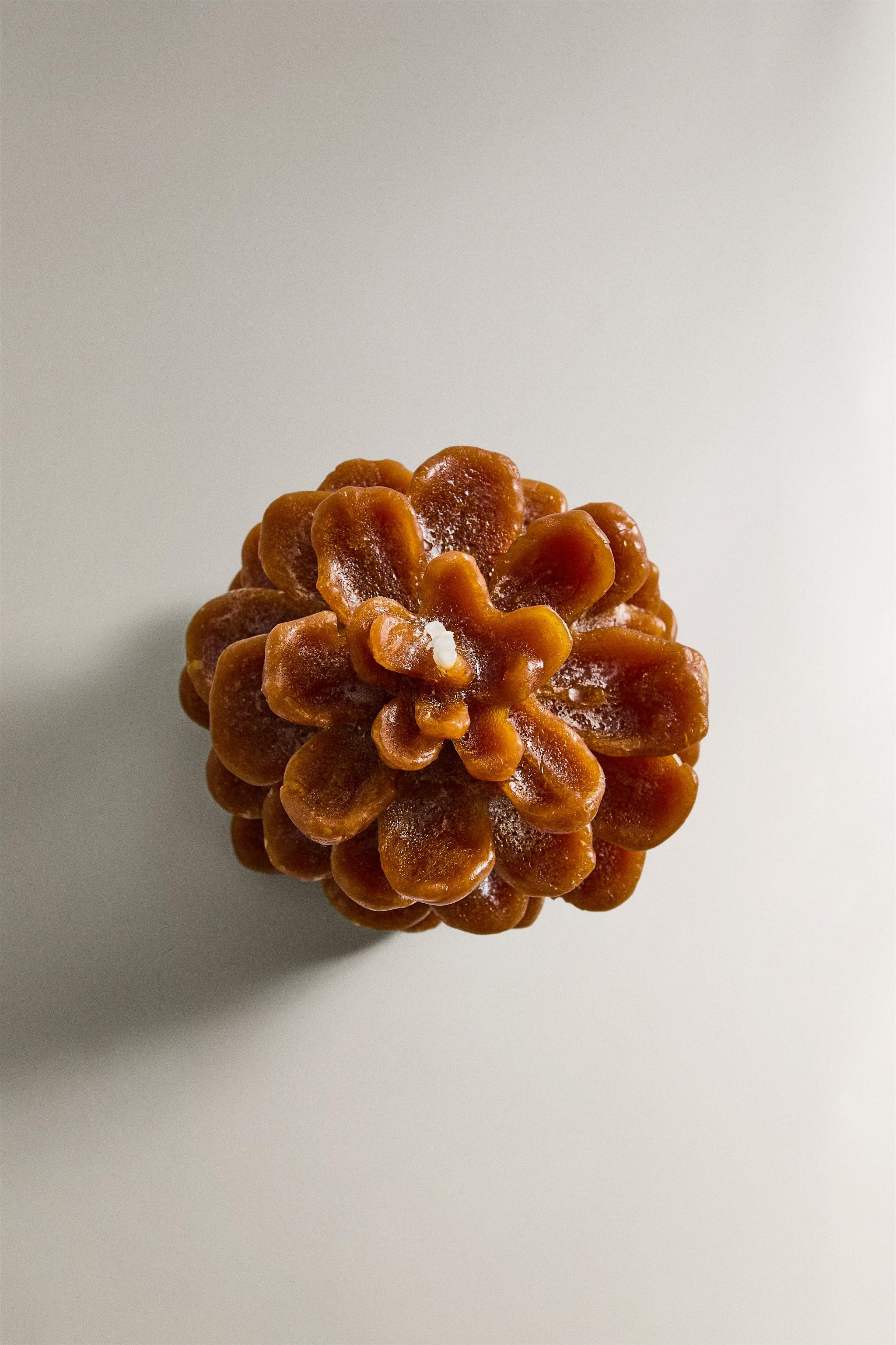 An enhanced experience.Check it out in the app.Open app | Zara US