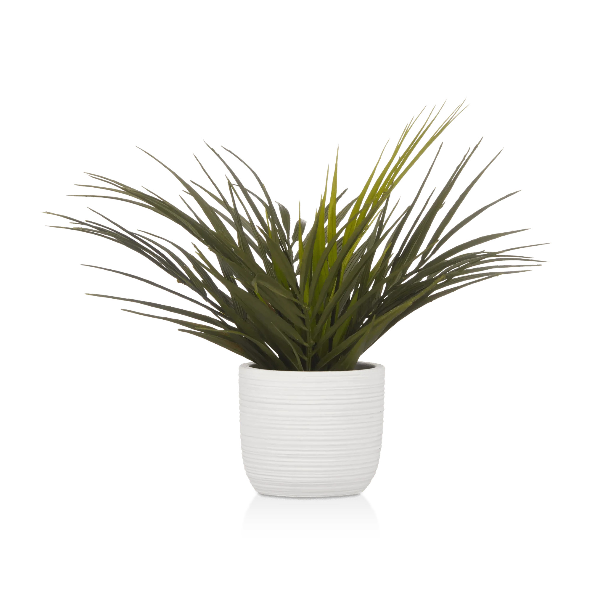 Textured Ceramic Potted Tropical Plant | Bouclair