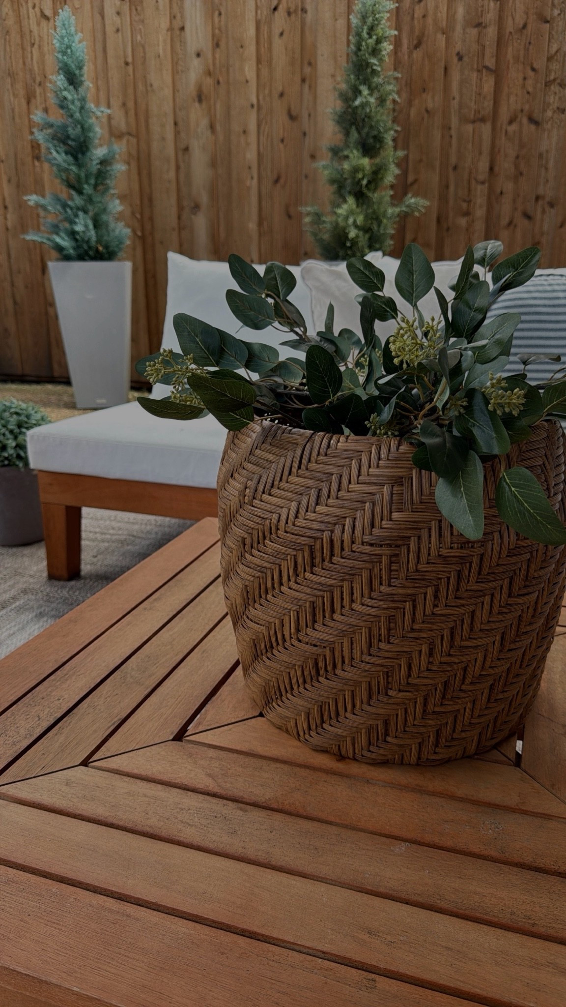 Love this Target planter/stem combo for an easy outdoor coffee table decor idea 🍃

#LTKHome #LTKSeasonal