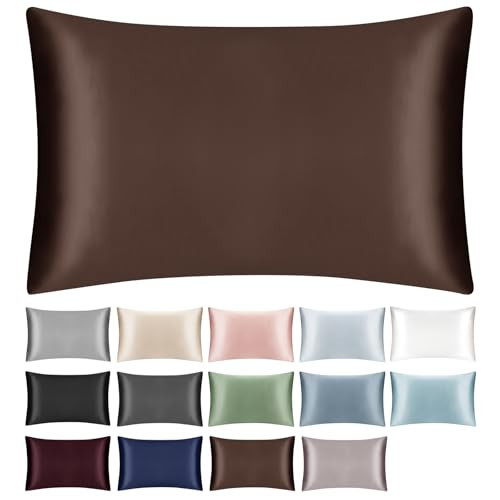 SILKTALE 100% Mulberry Silk Pillowcase for Hair and Skin,Both Sides Natural Silk Bed Pillow Case with Hidden Zipper,19 Momme Grade 6A,1pc,Brown,Standard Size 20x26 Inches | Amazon (US)
