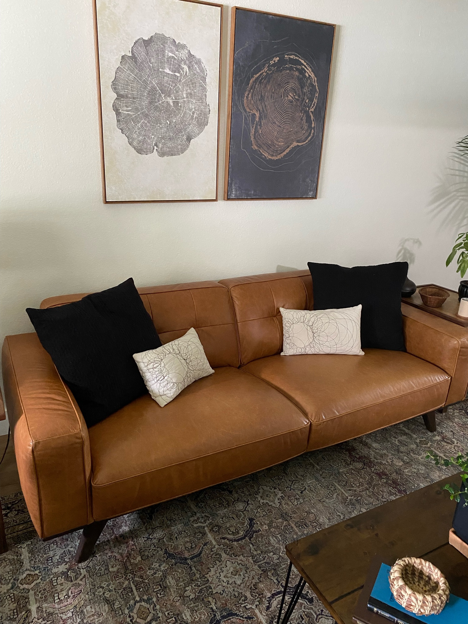 🚨 SALE ALERT!! 🚨 

My perfect camel leather sofa is on mega sale!! Run!! 

This is the most comfortable couch that pairs so nicely with any mid mid vibe. 

#sofasale #salealert #leathersofa #livingroomfurniture # homedecor 

#LTKhome #LTKsalealert #LTKFind