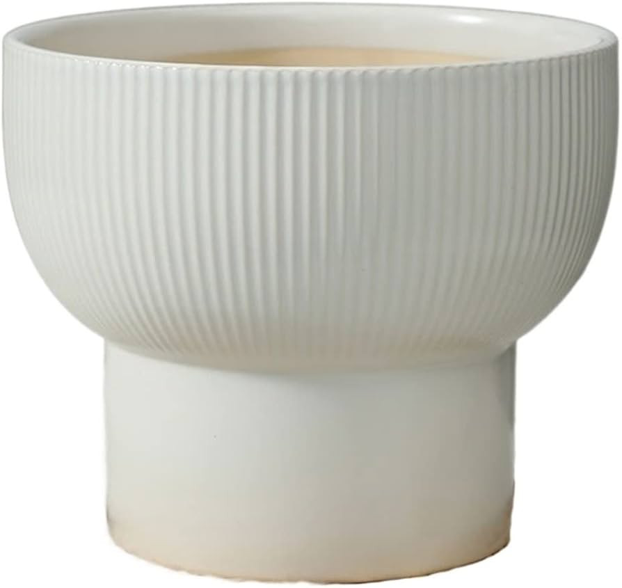 SONGCHAO Planting Pots Ceramic Plant Containers Large Flower Pots Special Potted Planters Decorat... | Amazon (US)