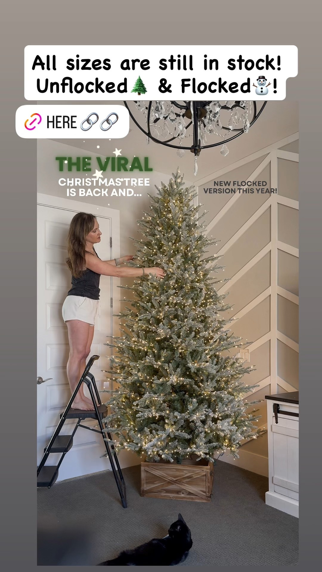 The Viral Christmas Tree is still in stock in all sizes, flocked and unflocked! Hurry! 

#LTKSeasonal #LTKHome