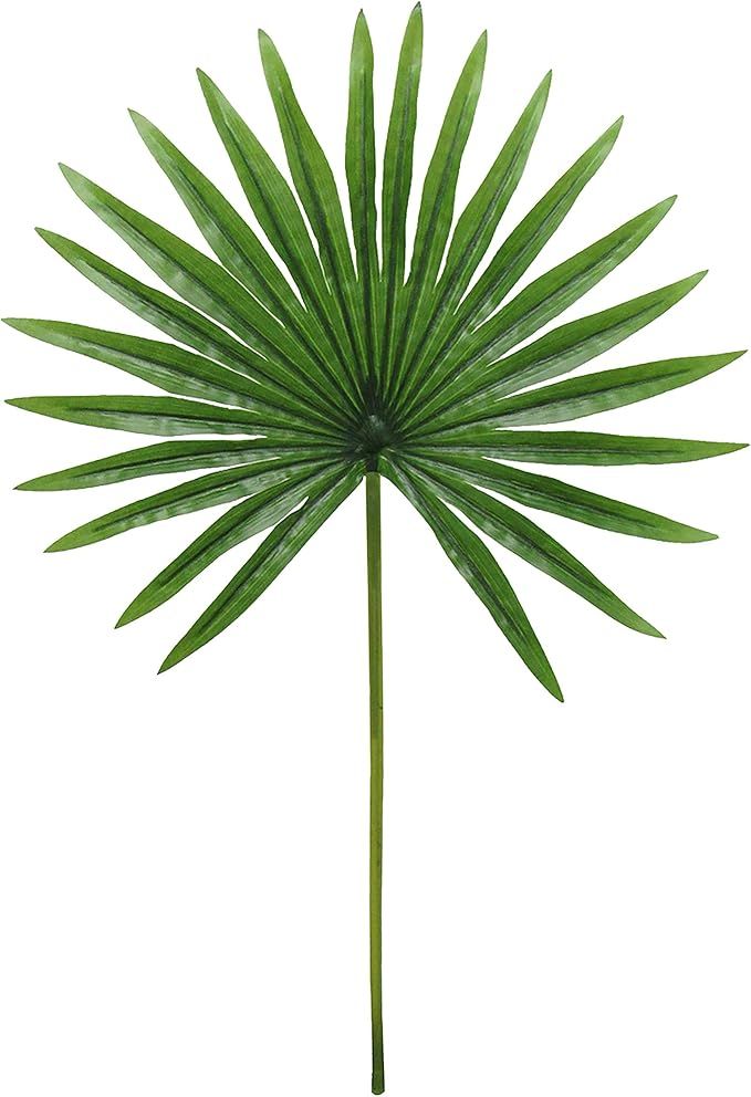 Unknown1 Set of 3 Tropical Fan Palm Leaf Stem 20in 20" L X 12" W 0.5" Dp Green | Amazon (US)