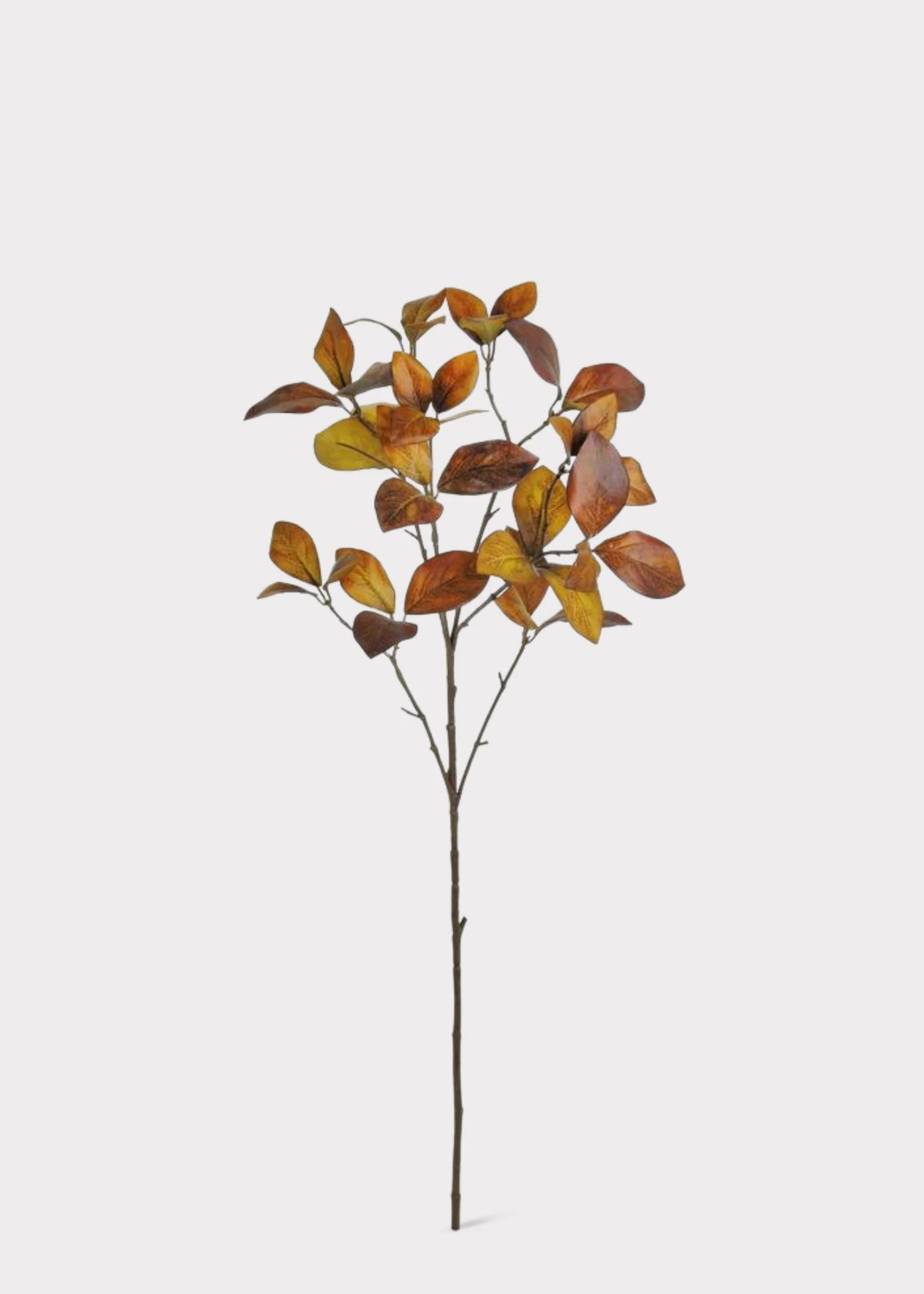 Warm Brown Enkianthus Leaf Branch | Premium Fake Fall Leaves | Afloral | Afloral