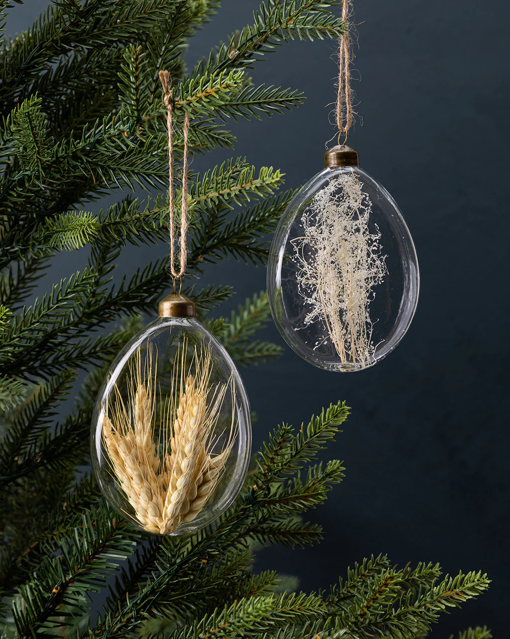 Encapsulated Botanical Ornaments (Set of 2) | McGee & Co.