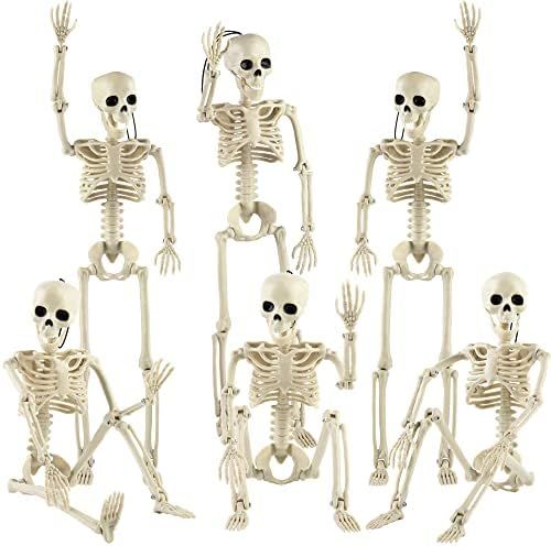 Fovths 6 Pieces 15.7 Inches Halloween Skeleton Decoration Posable Full Body Skeleton with Movable Jo | Amazon (US)