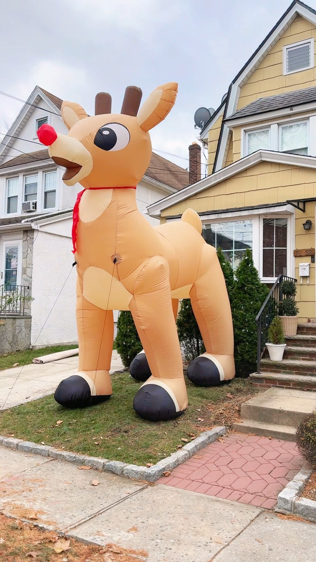 Walmart’s Black Friday Deals are here and they are so good! I grabbed this Reindeer inflatable that has been on my wishlist!
Here are Walmart Deals dates:
* Black Friday Deals: Live from 11/25–12/1
* Cyber Monday: New deals added on 12/2
#WalmartPartner #WalmartDeals @Walmart #BlackFriday #BlackFridayDeals


#LTKHoliday #LTKSaleAlert #LTKHome