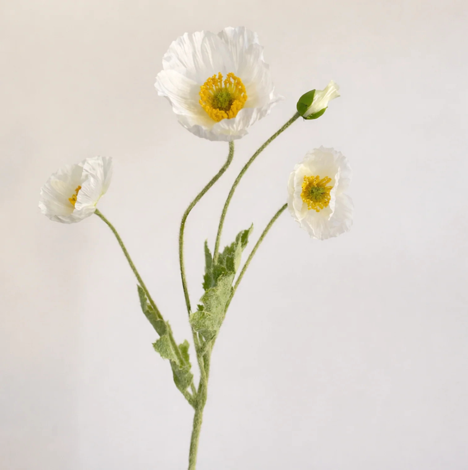 22'' White Flocked Floral Poppy | Eco Chic Home