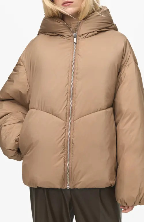 MANGO Oversize Hooded Puffer Jacket in Beige at Nordstrom, Size Medium | Nordstrom