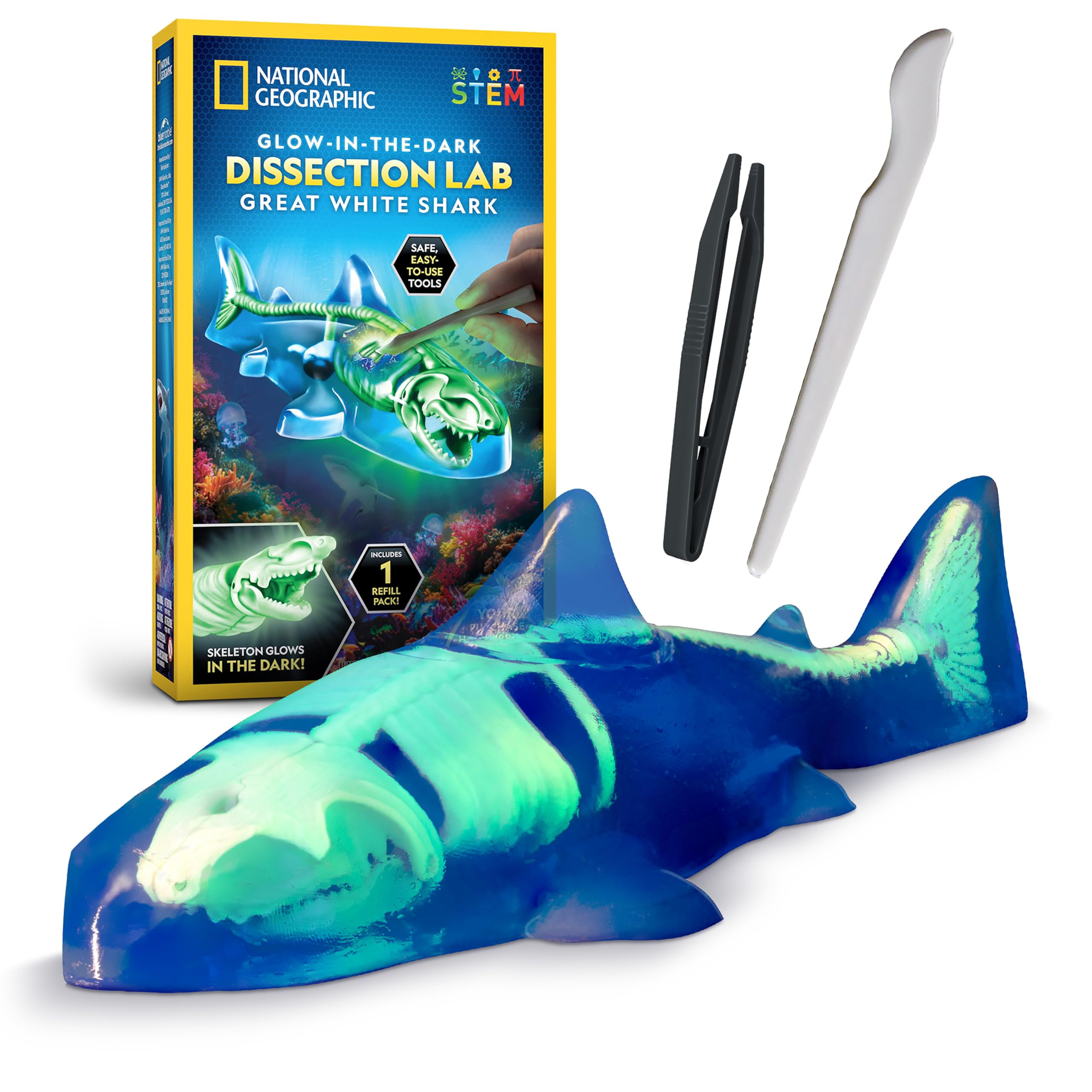 National Geographic Shark Dissection Kit – Glow in The Dark Great White Shark Anatomy Lab with ... | Amazon (US)