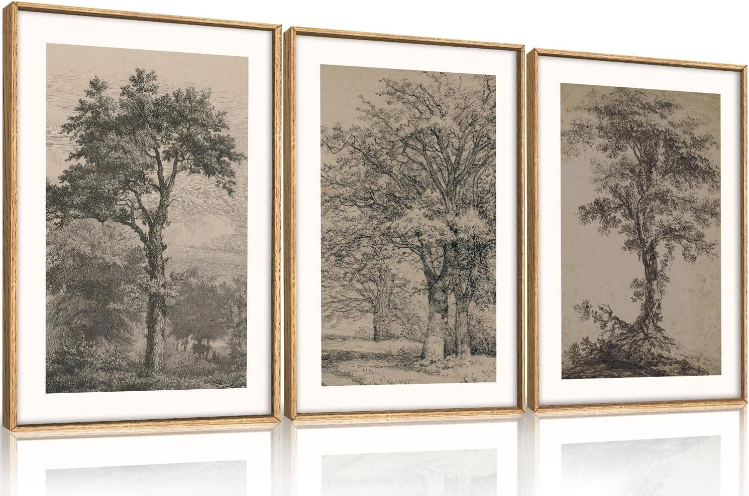 CHDITB Vintage Tree Sketch Wall Art Set, Antique Tree Drawings Wall Decor, Nature Sketch Wall Painting, Framed Botanical Canvas Art Prints for Living Room, Bedroom, Dinning Room, Farmhouse - 16"x24"x3 | Amazon (CA)