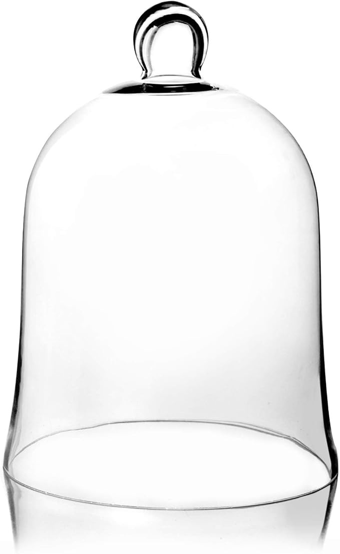 CYS EXCEL Glass Bell Dome Cloche (H:16" W:12") Enchanted Rose Glass Cover Cake Dessert Display Te... | Amazon (US)