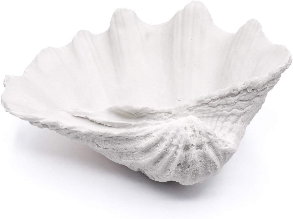 Seashell Bowl Resin Large Clam Shell Decor Nautical Clam Shell Bowl Coastal Beach Home Decor Bath... | Amazon (US)