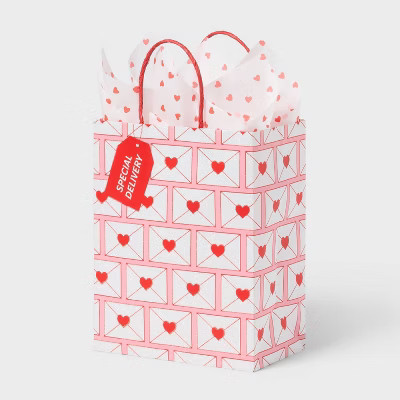 Small Valentines Day Envelope Gift Bag with Printed Heart Tissue Paper Pink/Red - Spritz™ | Target