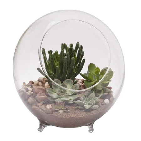 Panacea Products 7008967 10.25 in. dia. Large Glass Terrarium Planter with Feet, Clear | Walmart (US)