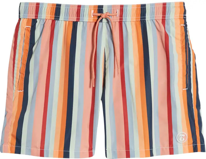 TOPMAN Stripe Swim Trunks | Nordstrom | Nordstrom