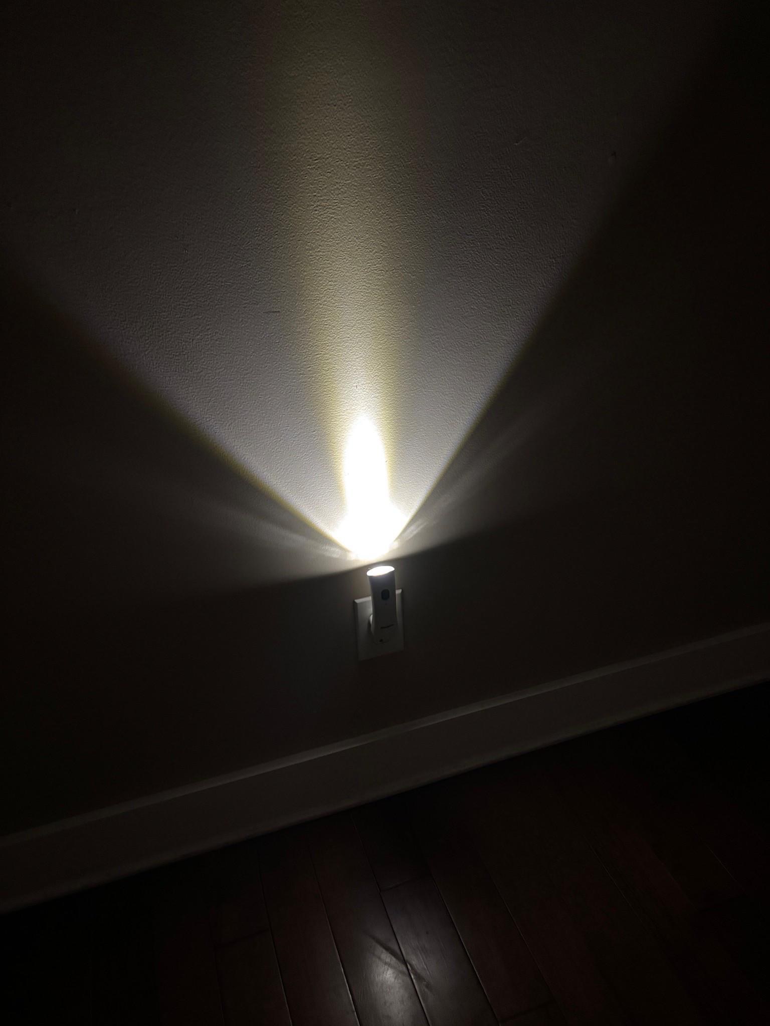 Perfect for power outages! These lights come on, when your power goes off!  💡 👏

#LTKWedding #LTKHome #LTKSeasonal
