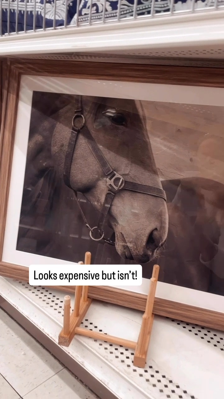 This black & white horse print is apart of a new western equestrian style home decor collection at Michael’s. It looks expensive but isn’t! 👏🏻

#equestrian #home #decor #style #horse #art #accessories #neutral 

#LTKSaleAlert #LTKdayinmylife #LTKHome