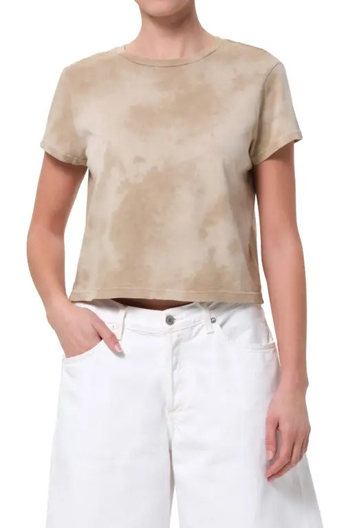 AGOLDE Adine Shrunken Organic Cotton T-Shirt in Plume at Nordstrom, Size Large | Nordstrom