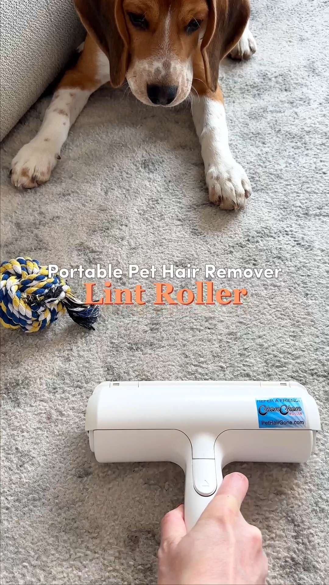 Pet hair on the couch, bed, or clothes is no match for the Chom Chom Roller Portable Pet Hair Remover Lint Roller 🐶 Designed to trap fur with every roll, it works on furniture, rugs, and bedding with zero waste. Just roll it back and forth and watch the hair disappear. Such a simple solution for everyday cleanup. #LTKPets #LTKHome #LTKFinds #PetMustHaves #PetFavorites #PetOwners #HomeEssentials #CleanHome #PetCare 

#LTKHome #LTKFindsUnder50