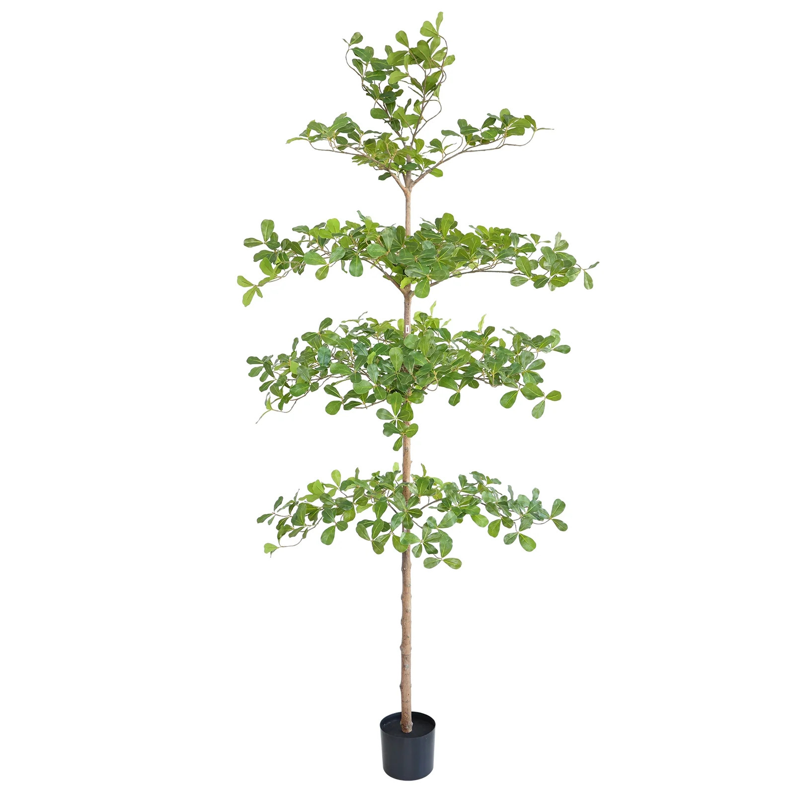 momoplant Faux Black Olive Tree 7ft Tall Fake Tree Indoor with Natural Trunk and Realistic Leaves... | Walmart (US)