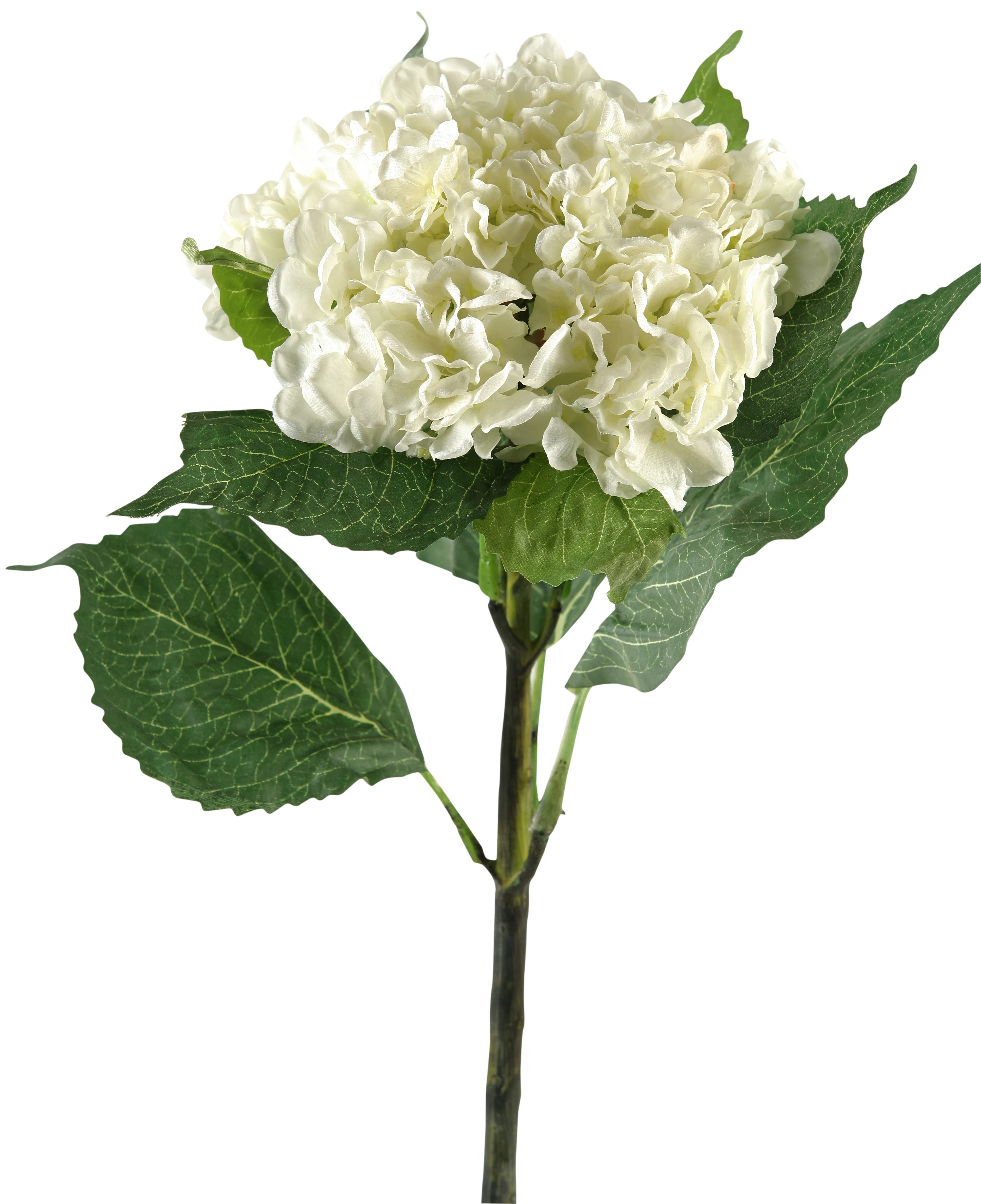 Hydrangea Arrangement (Set of 3) | Wayfair North America