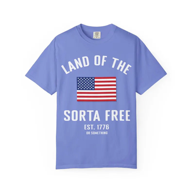 Land of the Sorta Free T-shirt | Snarky 4th of July Tee | Funny Patriotic Shirt | Vintage USA Gra... | Etsy (US)