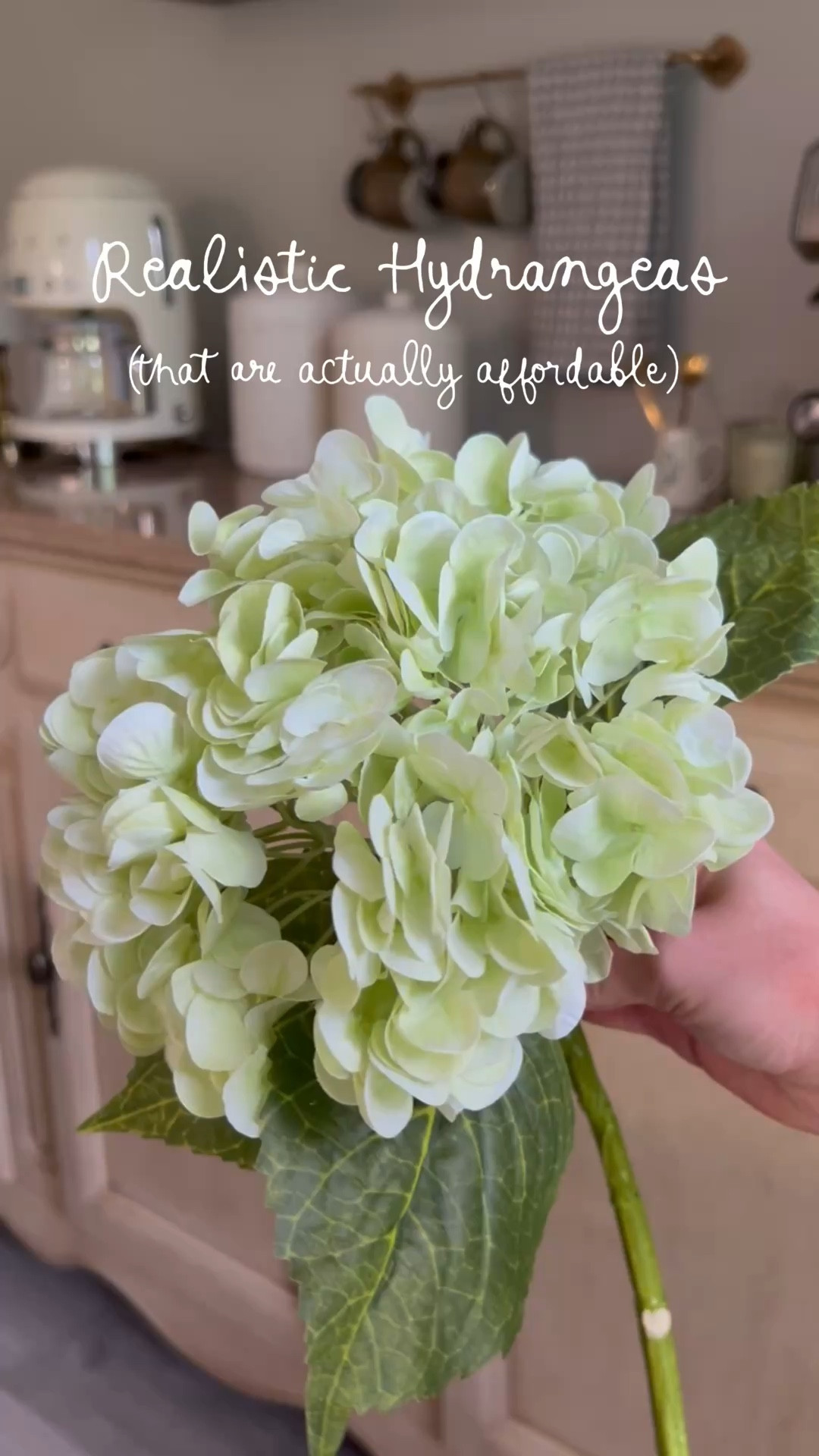 (I think these are better than the super expensive ones) 😅 they’re so pretty and my favorite to buy!

faux hydrangeas affordable spring decor

#LTKSeasonal #LTKHome