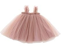 Baby Girls Toddler Tutu Dress Long Sleeve/Sleeveless Princess Infant Tulle Sundress | Amazon (US)