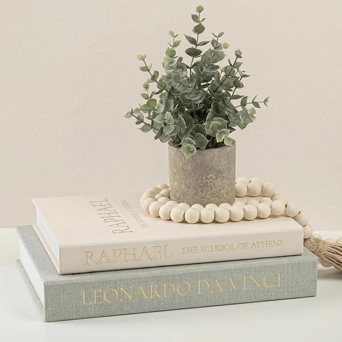 Upgraded Decorative Books for Home Decor - Coffee Table Faux Books for Decoration, Linen Fake Boo... | Amazon (CA)