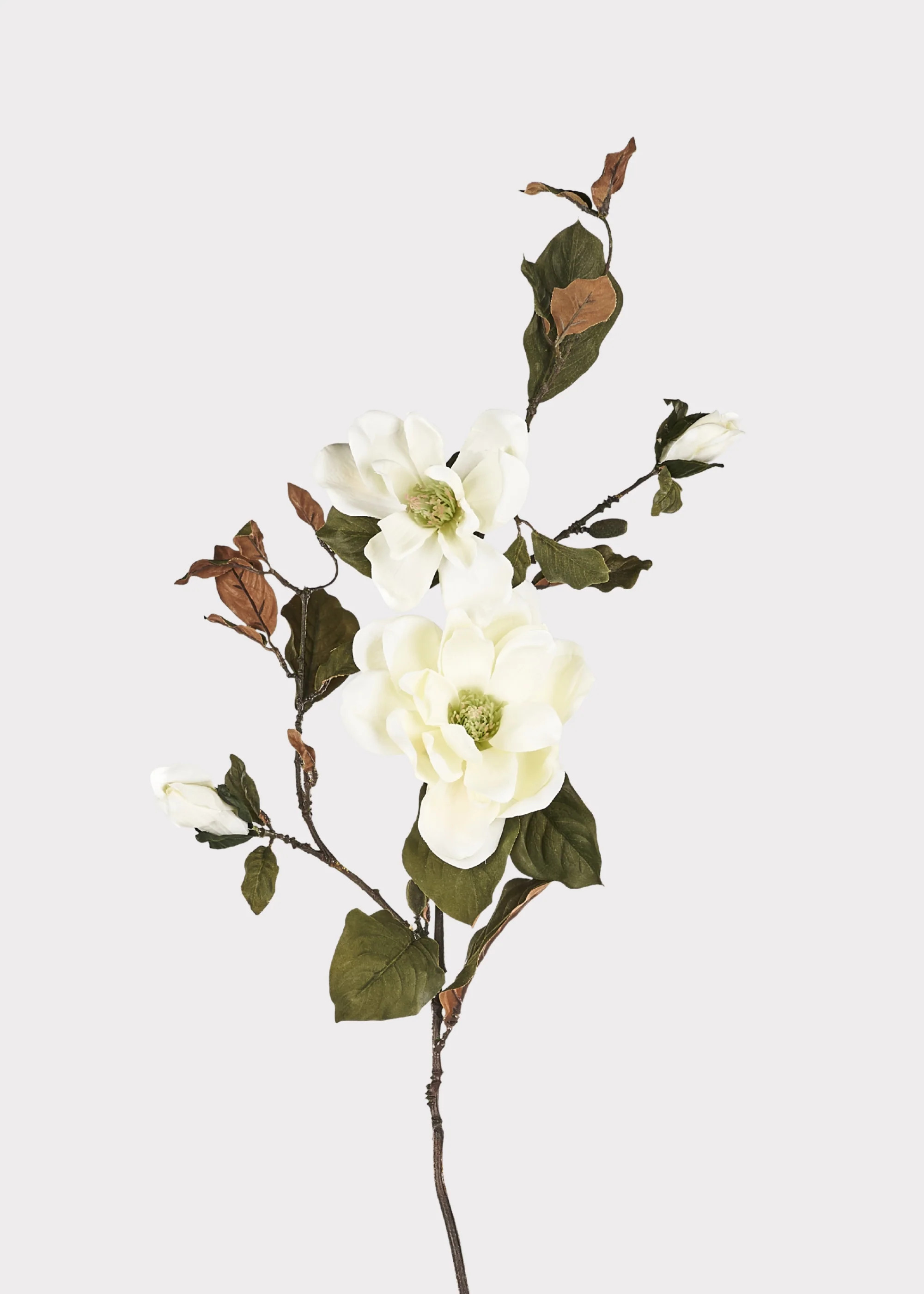 Cream Magnolia Branch | Artificial Blooming Flowers | Afloral | Afloral