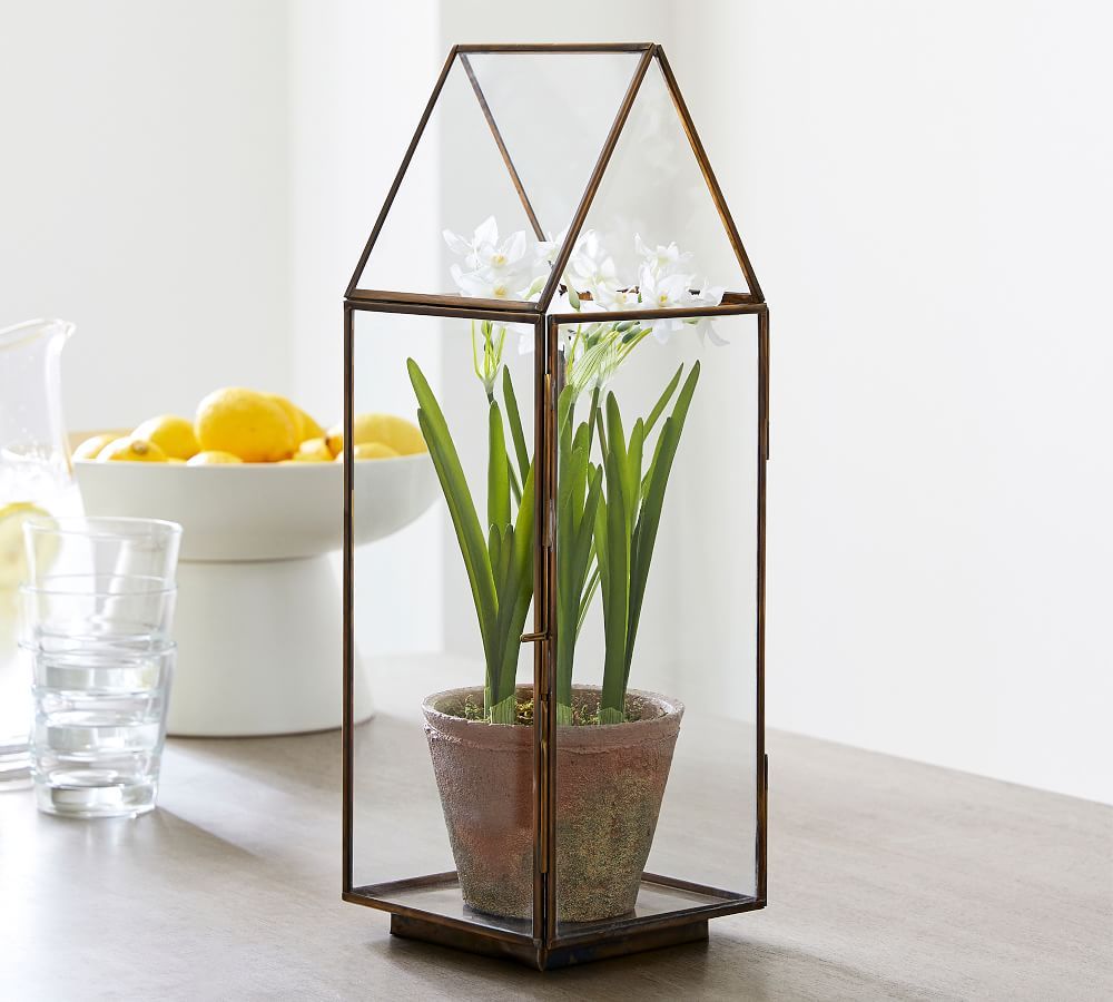 Tall Brass Terrarium | Pottery Barn (US)