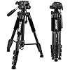ZOMEI Compact Light Weight Travel Portable Aluminum Camera Tripod for Canon Nikon Sony DSLR Camer... | Amazon (US)
