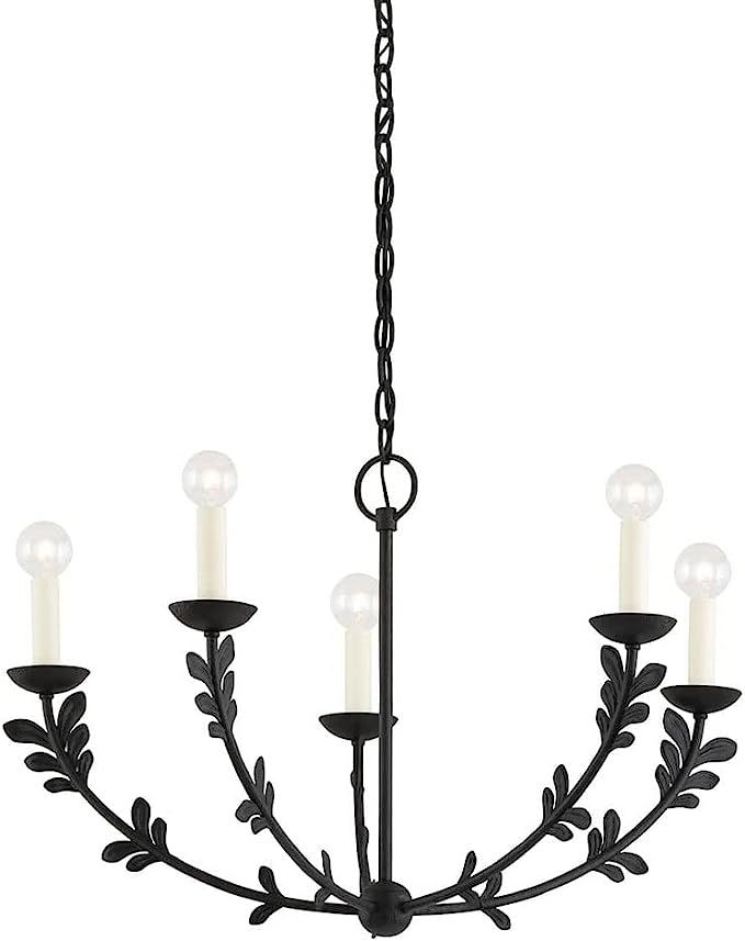Troy Lighting F4428-BI Florian - 5 Light Chandelier in Whimsical Style-17.25 Inches Tall and 28 I... | Amazon (US)
