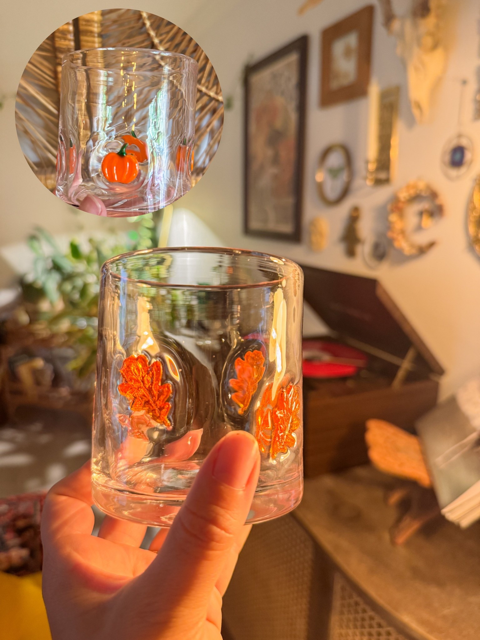 Favorite World Market finds for fall!

#LTKSeasonal #LTKHome