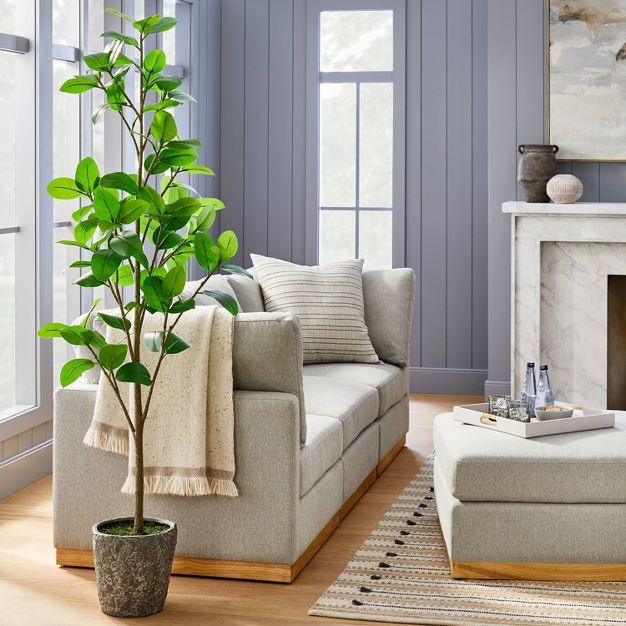 Banyan Leaf Potted Tree - Threshold™ designed with Studio McGee | Target