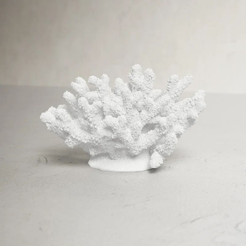 Diorio Coral Sculpture | Wayfair North America