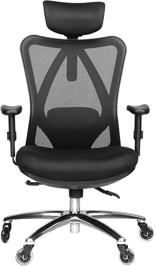 Duramont Ergonomic Office Chair - Adjustable Desk Chair with Lumbar Support and Rollerblade Wheel... | Amazon (US)