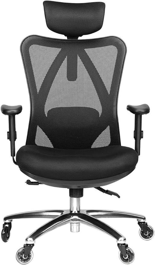 Duramont Ergonomic Office Chair - Adjustable Desk Chair with Lumbar Support and Rollerblade Wheel... | Amazon (US)
