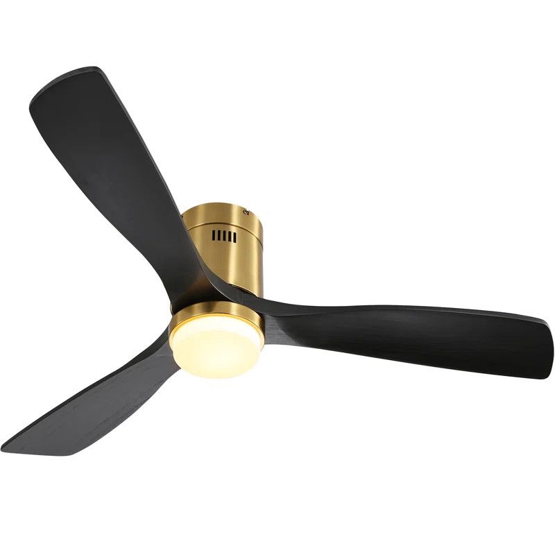 Nicola 52'' Ceiling Fan with LED Lights | Wayfair North America